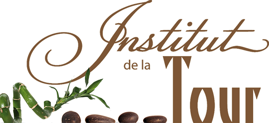 Institut de la Tour Logo
